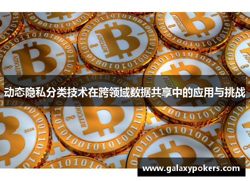 动态隐私分类技术在跨领域数据共享中的应用与挑战